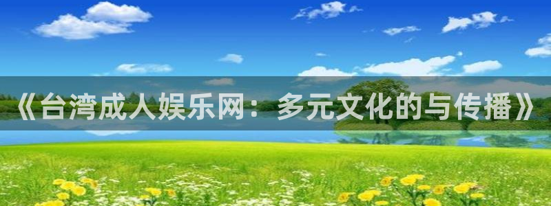 天富平台注册：《台湾成人娱乐网：多元文化的与传播》