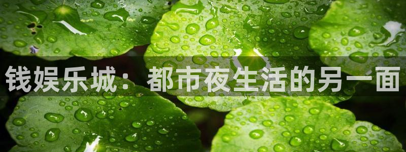天富平台注册网页版：钱娱乐城：都市夜生活的另一面
