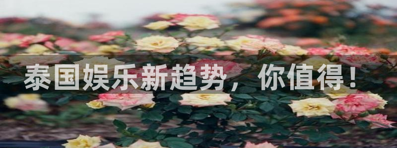 天富平台app哪个模式容易赢：泰国娱乐新趋势，你值得！