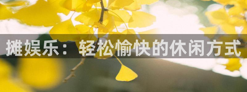 天富平台.ccmpc登录：摊娱乐：轻松愉快的休闲方式