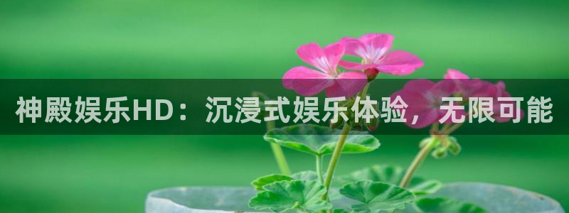 天富平台体育热门赛事有哪些：神殿娱乐HD：沉浸式娱乐体验，无限可能