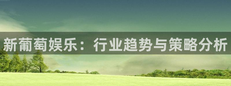 www.天富平台体育.com：新葡萄娱乐：行业趋势与策略分析