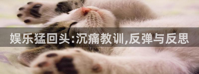 天富平台下载官网入口在哪：娱乐猛回头:沉痛教训,反弹与反思