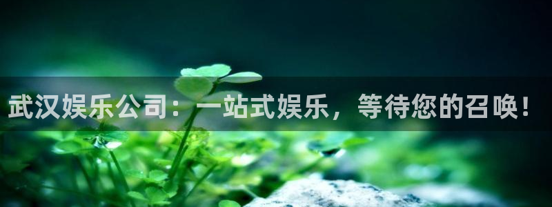 天富平台网站登录流程：武汉娱乐公司：一站式娱乐，等待您的召唤！