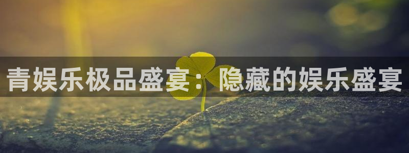 天富平台vip麻将胡了：青娱乐极品盛宴：隐藏的娱乐盛宴