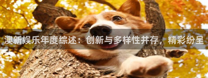 天富平台登录：澳新娱乐年度综述：创新与多样性并存，精彩纷呈