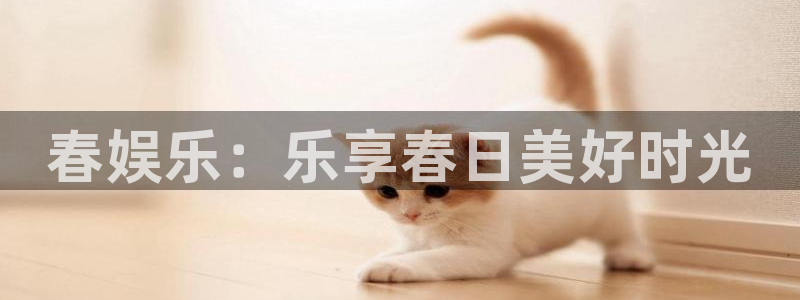 天富平台那个爆率高：春娱乐：乐享春日美好时光