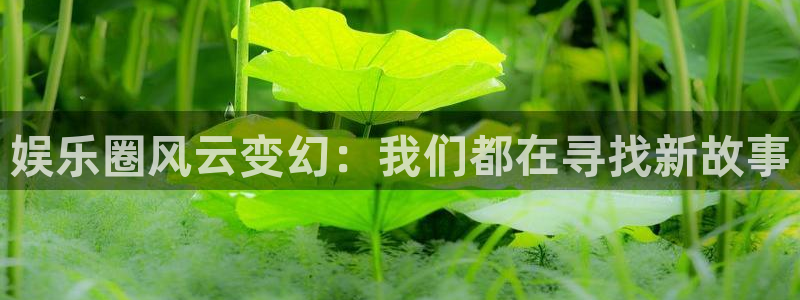 天富平台4注册：娱乐圈风云变幻：我们都在寻找新故事