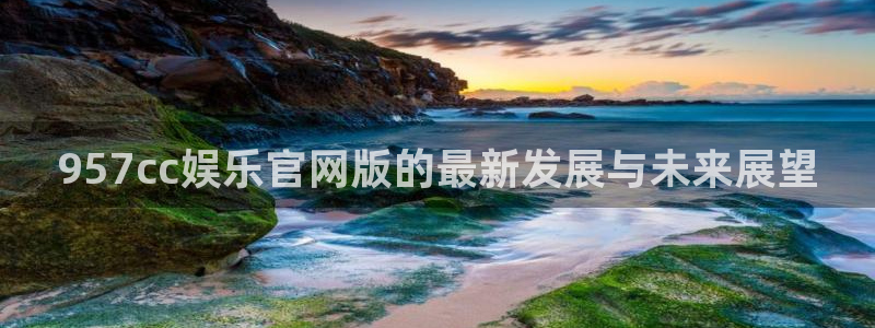 天富平台4官网：957cc娱乐官网版的最新发展与未来展望