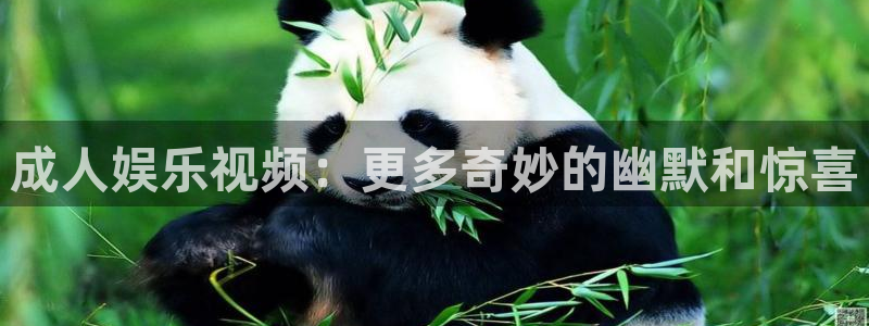天富平台加拿大：成人娱乐视频：更多奇妙的幽默和惊喜
