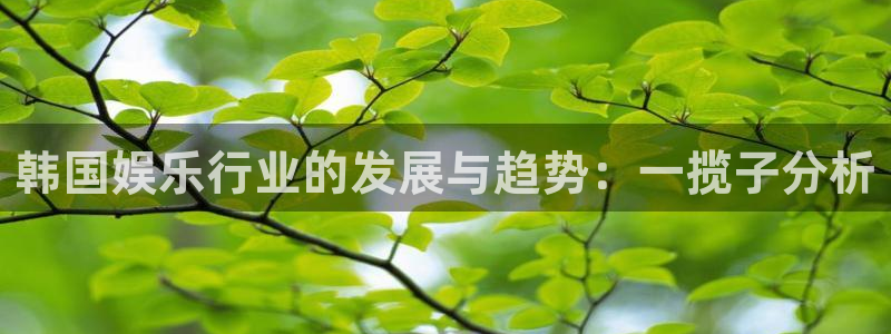 天富平台平台招商：韩国娱乐行业的发展与趋势：一揽子分析