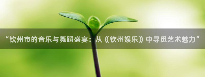 天富平台3注册：“钦州市的音乐与舞蹈盛宴：从《钦州娱乐》中寻觅艺术魅力”