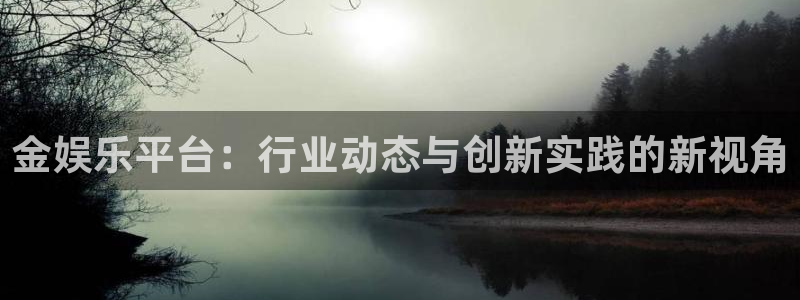 天富平台体育凯捷平台招商：金娱乐平台：行业动态与创新实践的新视角