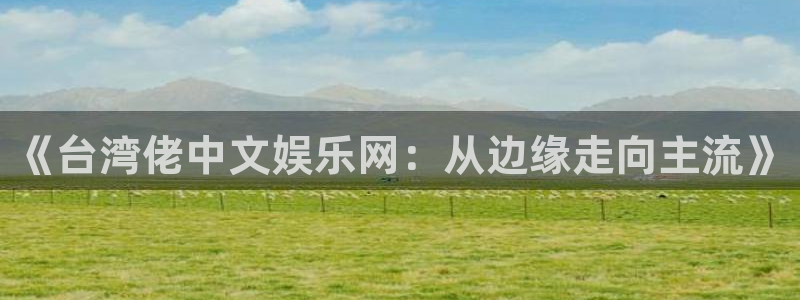 天富平台游戏：《台湾佬中文娱乐网：从边缘走向主流》