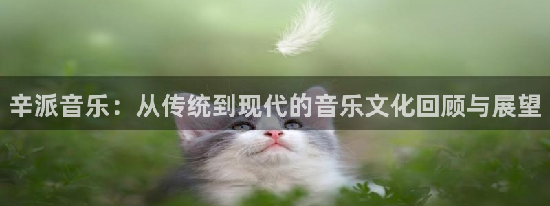 天富平台加拿大下载：辛派音乐：从传统到现代的音乐文化回顾与展望
