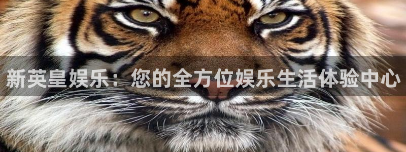 天富平台体育在线注册：新英皇娱乐：您的全方位娱乐生活体验中心