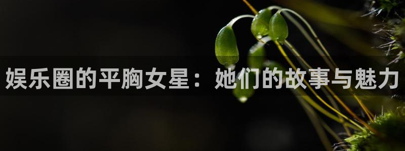 天富平台平台下载入口：娱乐圈的平胸女星：她们的故事与魅力