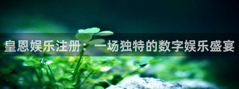 天富平台零能源集团：皇恩娱乐注册：一场独特的数字娱乐盛宴