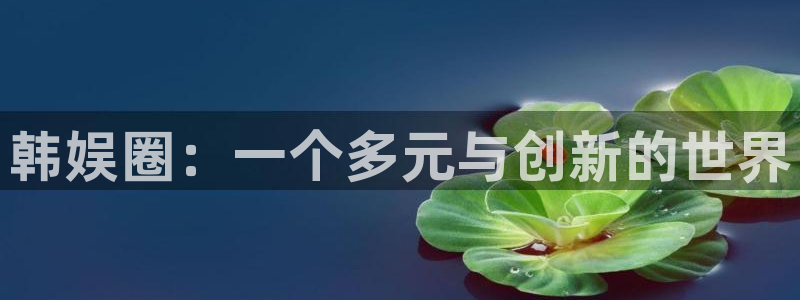 天富平台f平台注册：韩娱圈：一个多元与创新的世界