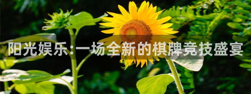 天富平台体育4