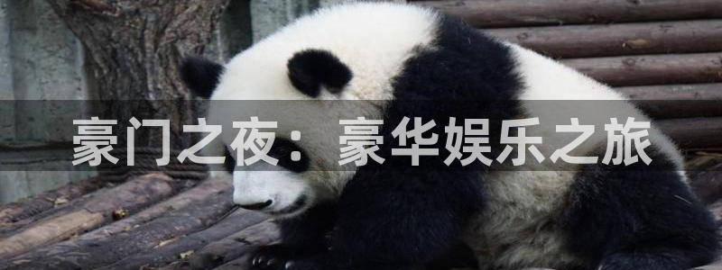 天富平台pg：豪门之夜：豪华娱乐之旅