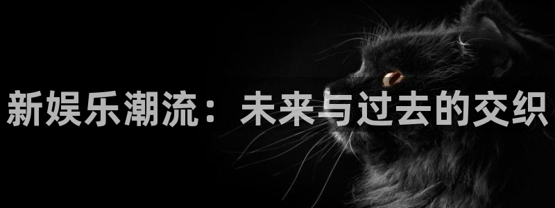 天富平台加拿大官网：新娱乐潮流：未来与过去的交织