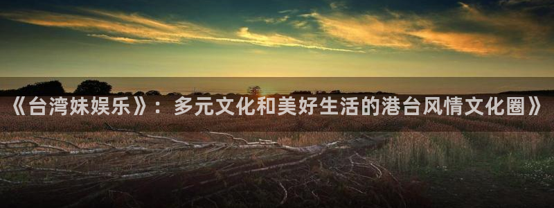 天富平台集团股票：《台湾妹娱乐》：多元文化和美好生活的港台风情文化圈》