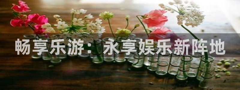 天富平台预测在线预测：畅享乐游：永享娱乐新阵地