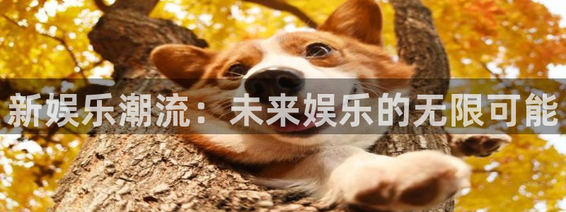 天富平台ccm麻将胡了：新娱乐潮流：未来娱乐的无限可能
