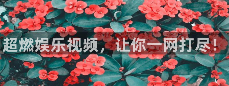 天富平台的平台：超燃娱乐视频，让你一网打尽！